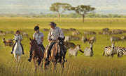 Safari Adventure Package
