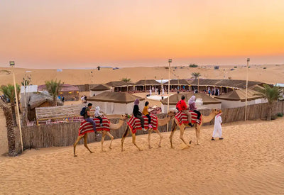 Family-Friendly Safaris in Namibia: Travel Tips & Top Destinations
