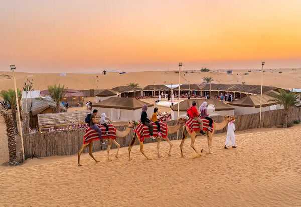 Family-Friendly Safaris in Namibia: Travel Tips & Top Destinations