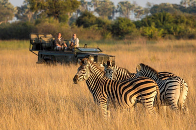 Why Etosha is Africa’s hidden gem.