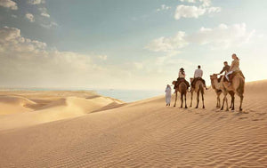 Sossusvlei Desert Escape